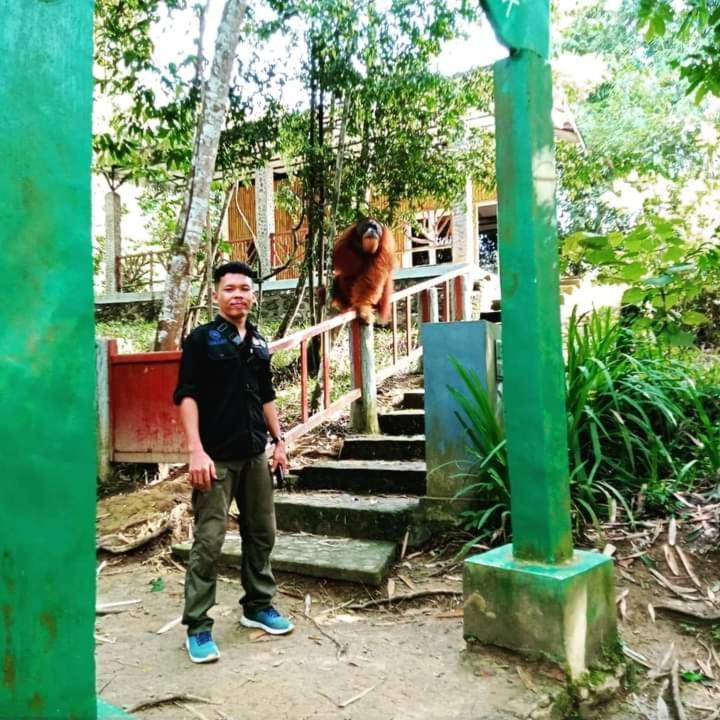 Pongo Guest House & Jungle Trekking Bukit Lawang Ngoại thất bức ảnh