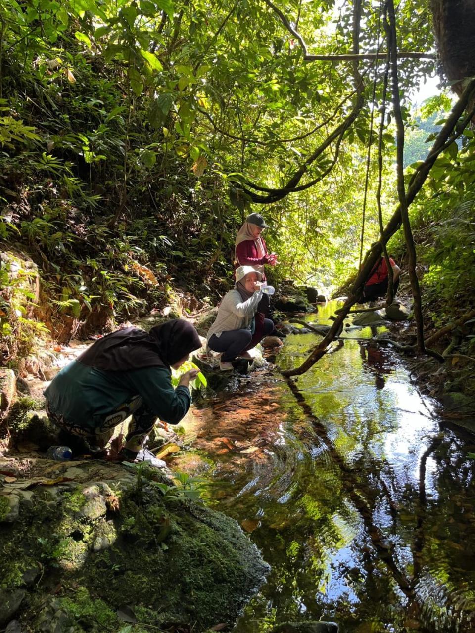 Pongo Guest House & Jungle Trekking Bukit Lawang Ngoại thất bức ảnh