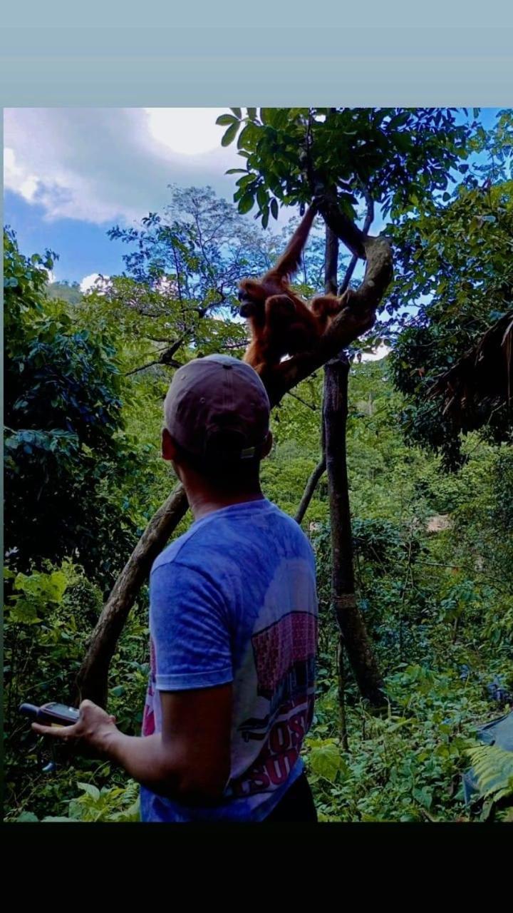 Pongo Guest House & Jungle Trekking Bukit Lawang Ngoại thất bức ảnh
