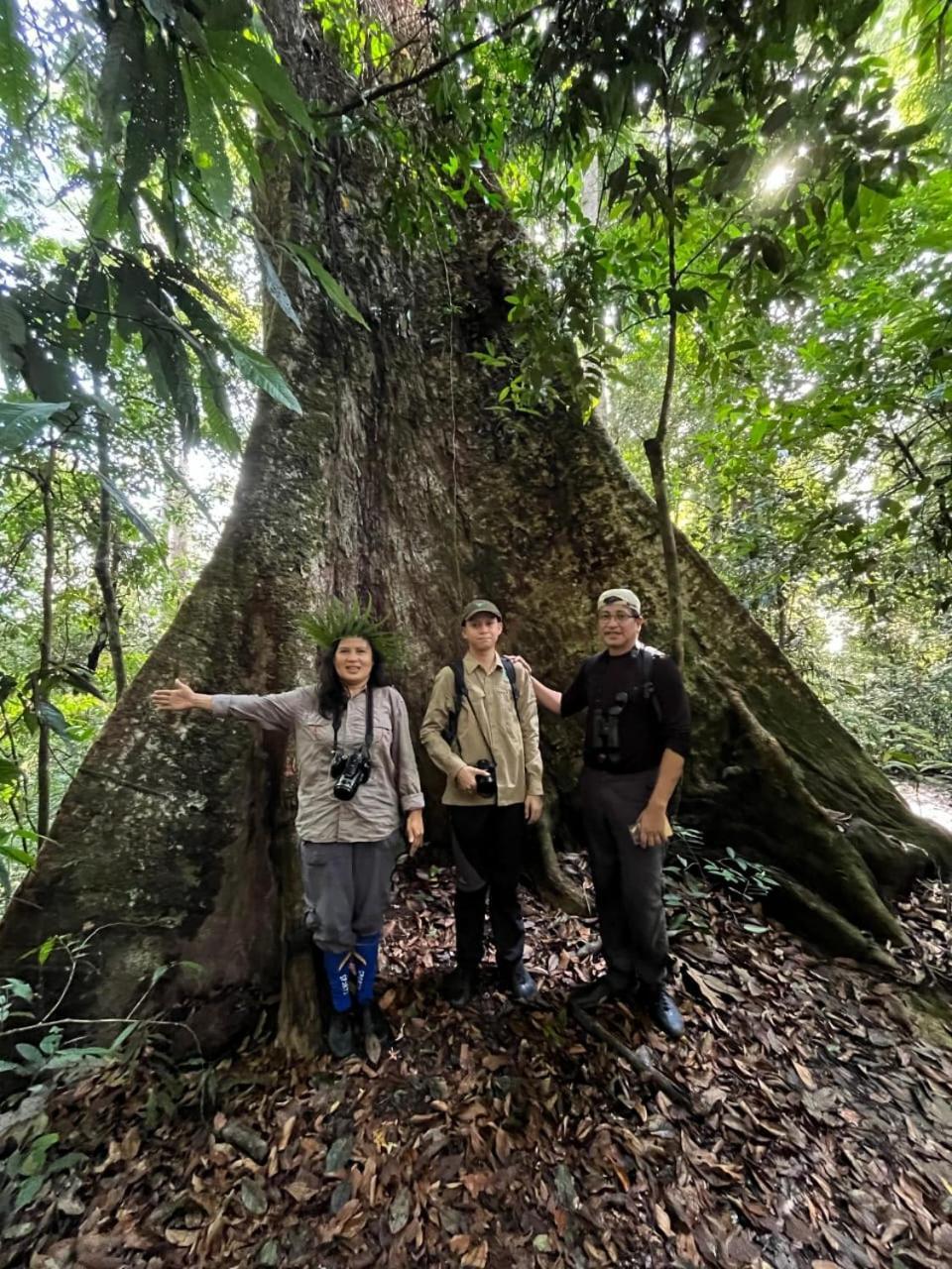 Pongo Guest House & Jungle Trekking Bukit Lawang Ngoại thất bức ảnh
