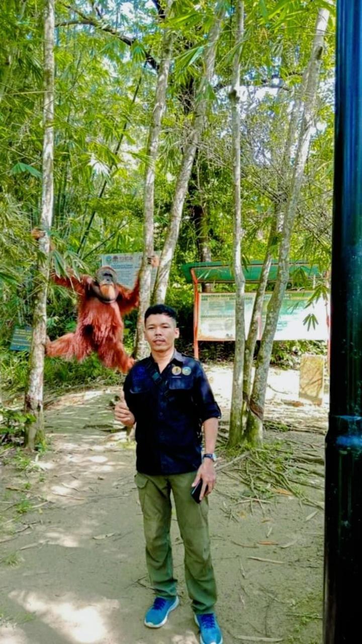 Pongo Guest House & Jungle Trekking Bukit Lawang Ngoại thất bức ảnh