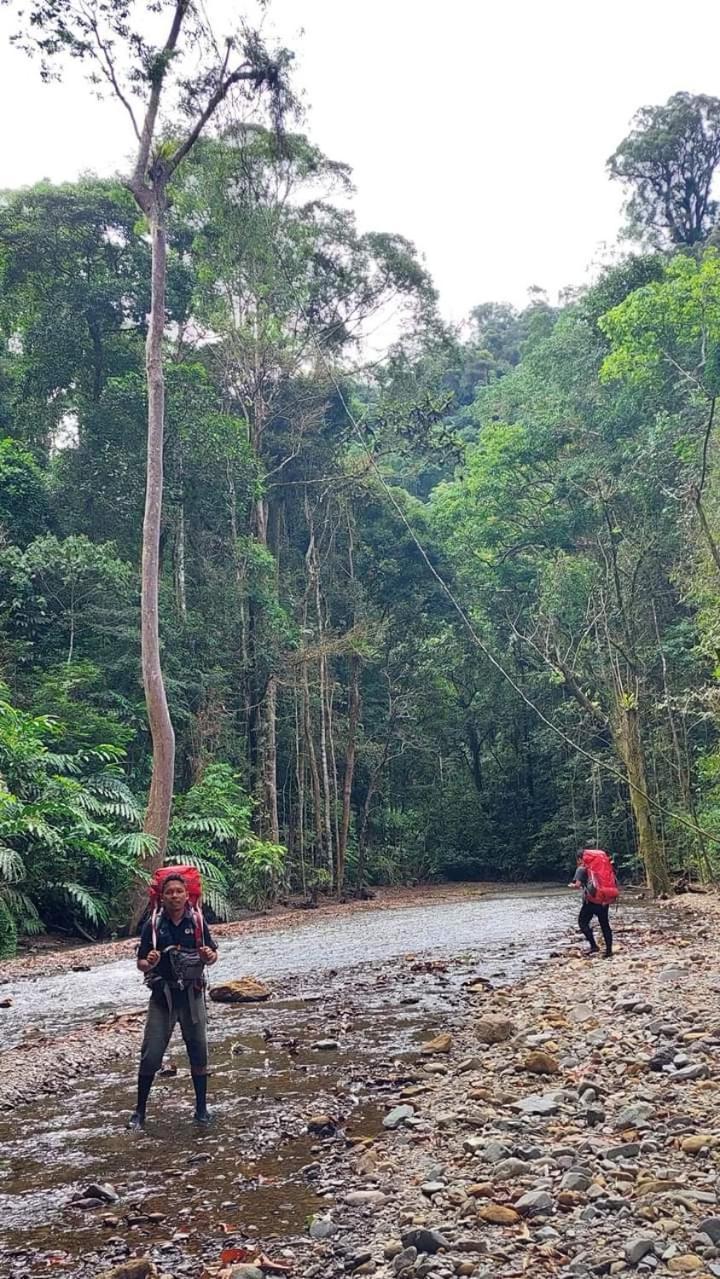 Pongo Guest House & Jungle Trekking Bukit Lawang Ngoại thất bức ảnh