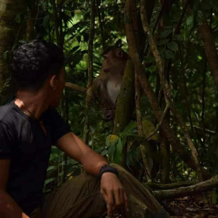 Pongo Guest House & Jungle Trekking Bukit Lawang Ngoại thất bức ảnh