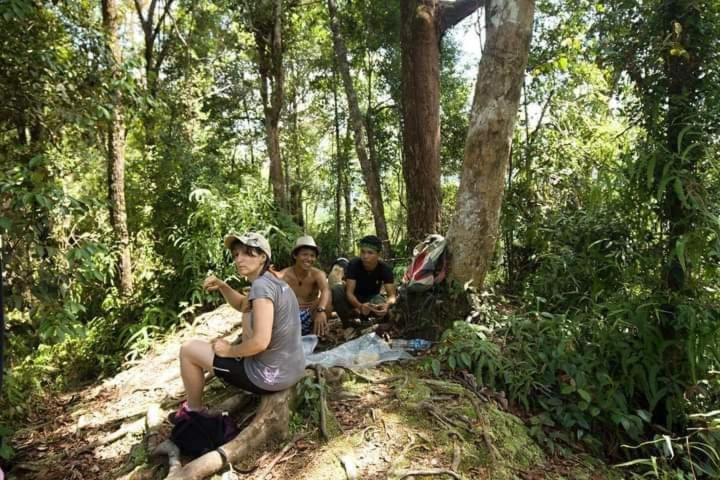 Pongo Guest House & Jungle Trekking Bukit Lawang Ngoại thất bức ảnh