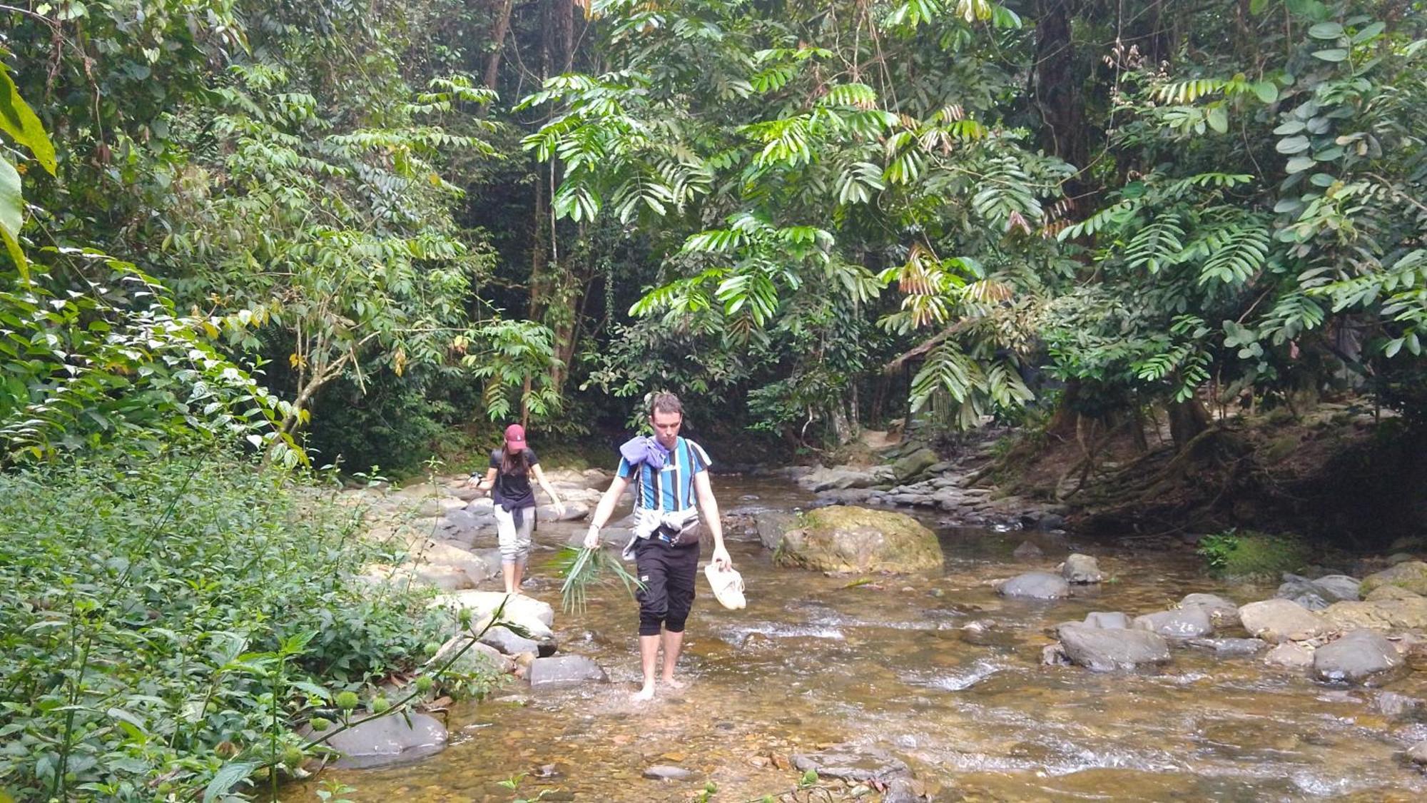 Pongo Guest House & Jungle Trekking Bukit Lawang Ngoại thất bức ảnh