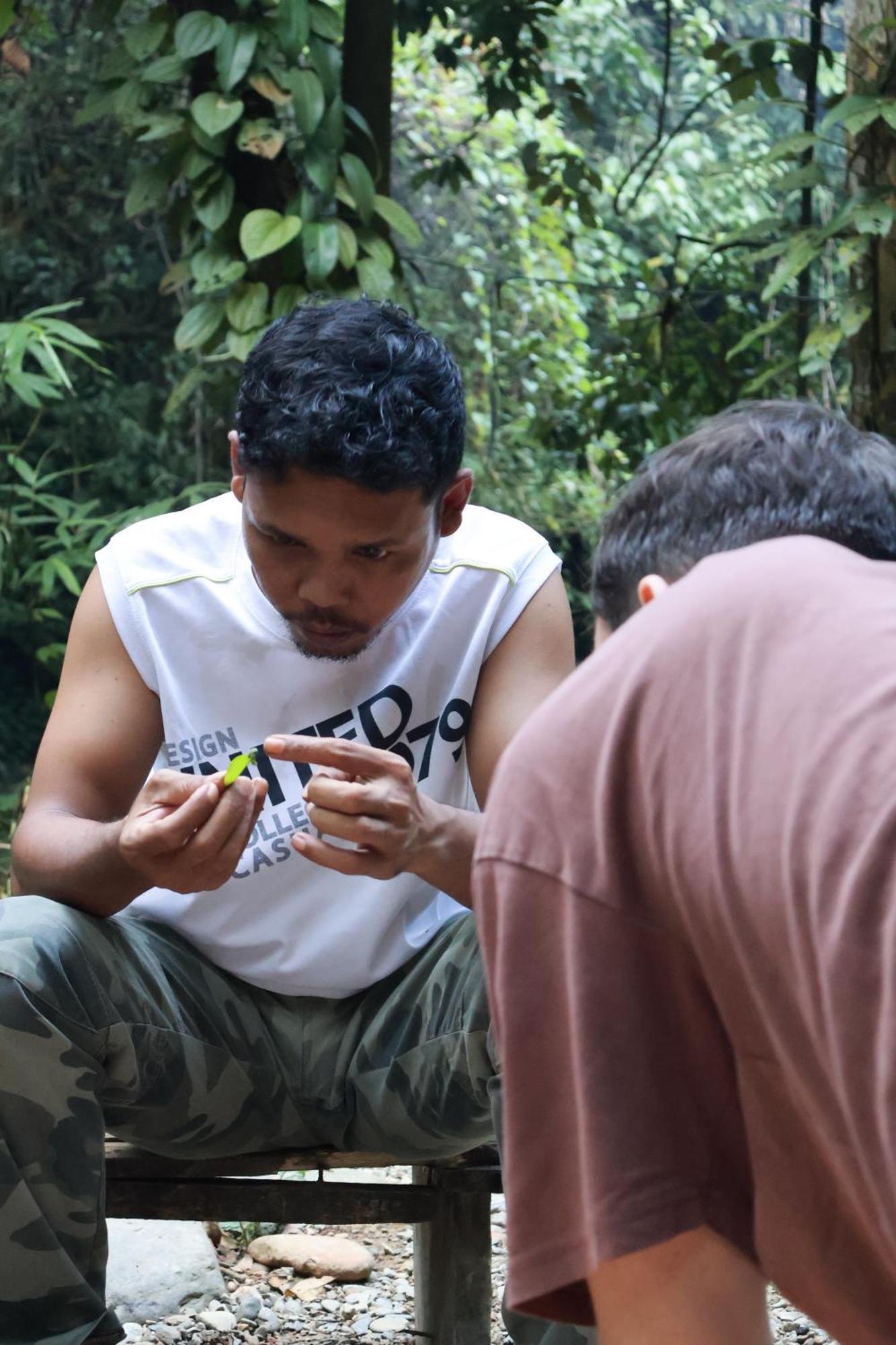 Pongo Guest House & Jungle Trekking Bukit Lawang Ngoại thất bức ảnh